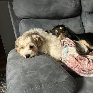 A New Couch