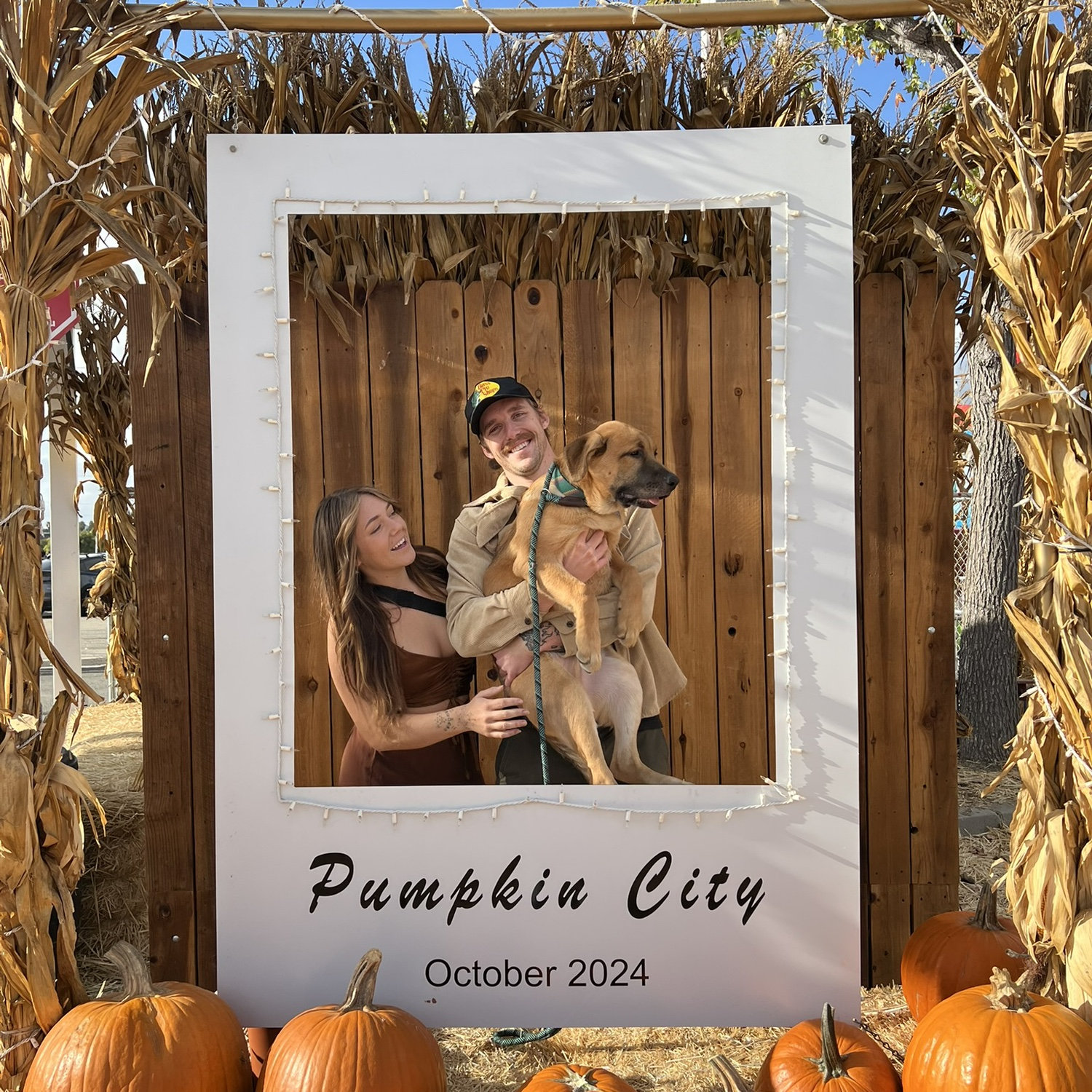 Brandon’s first pumpkin patch