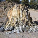 Fossil Beds National Monument