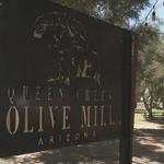 Queen Creek Olive Mill
