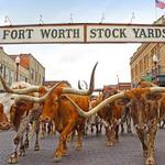 Fort Worth Stock Yards