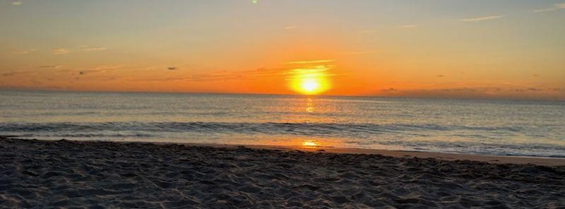 The Wedding Website of Roselande Rosius and Michael Cambaliza