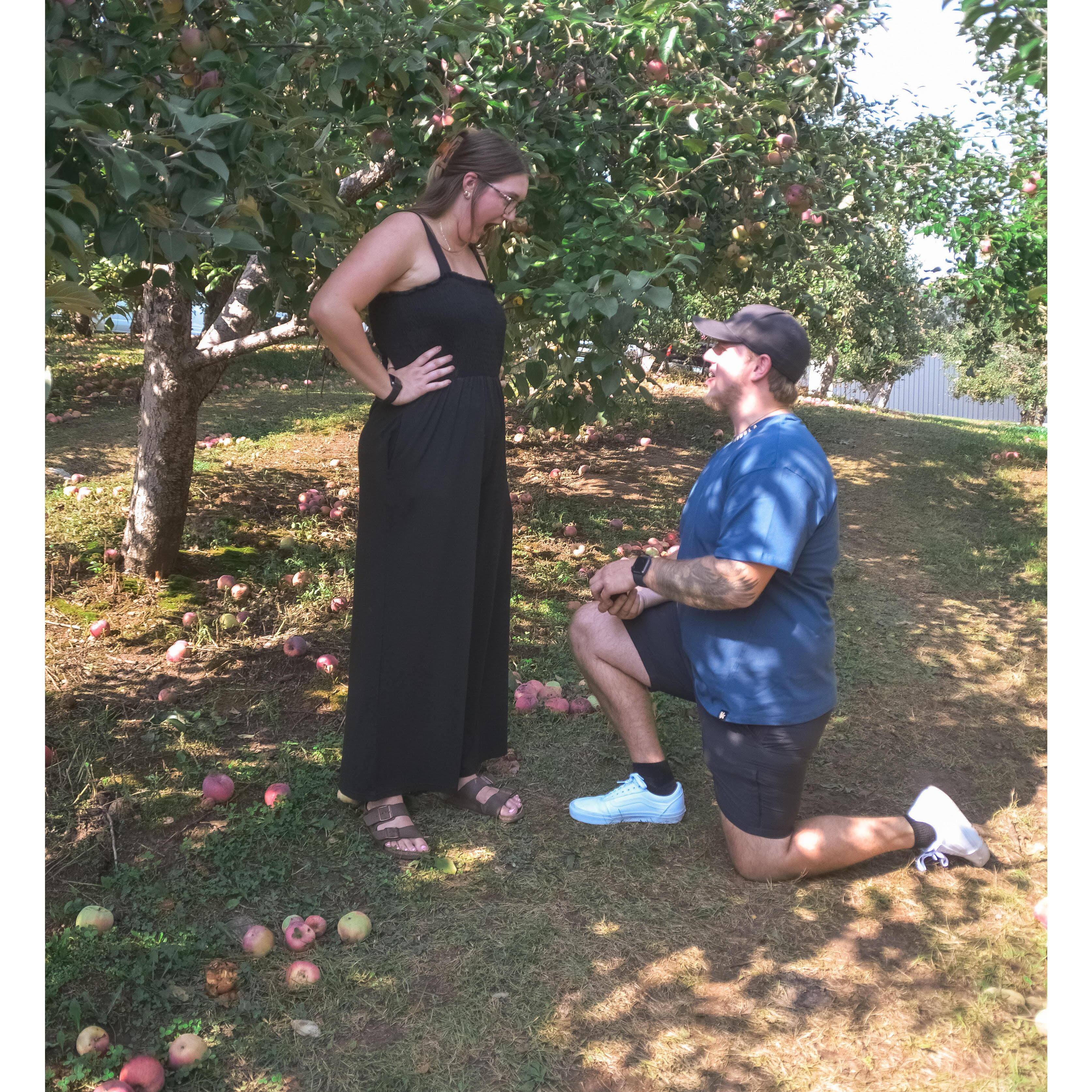 Our Proposal!