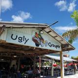 The Ugly Grouper
