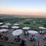 Bluemont Vineyard