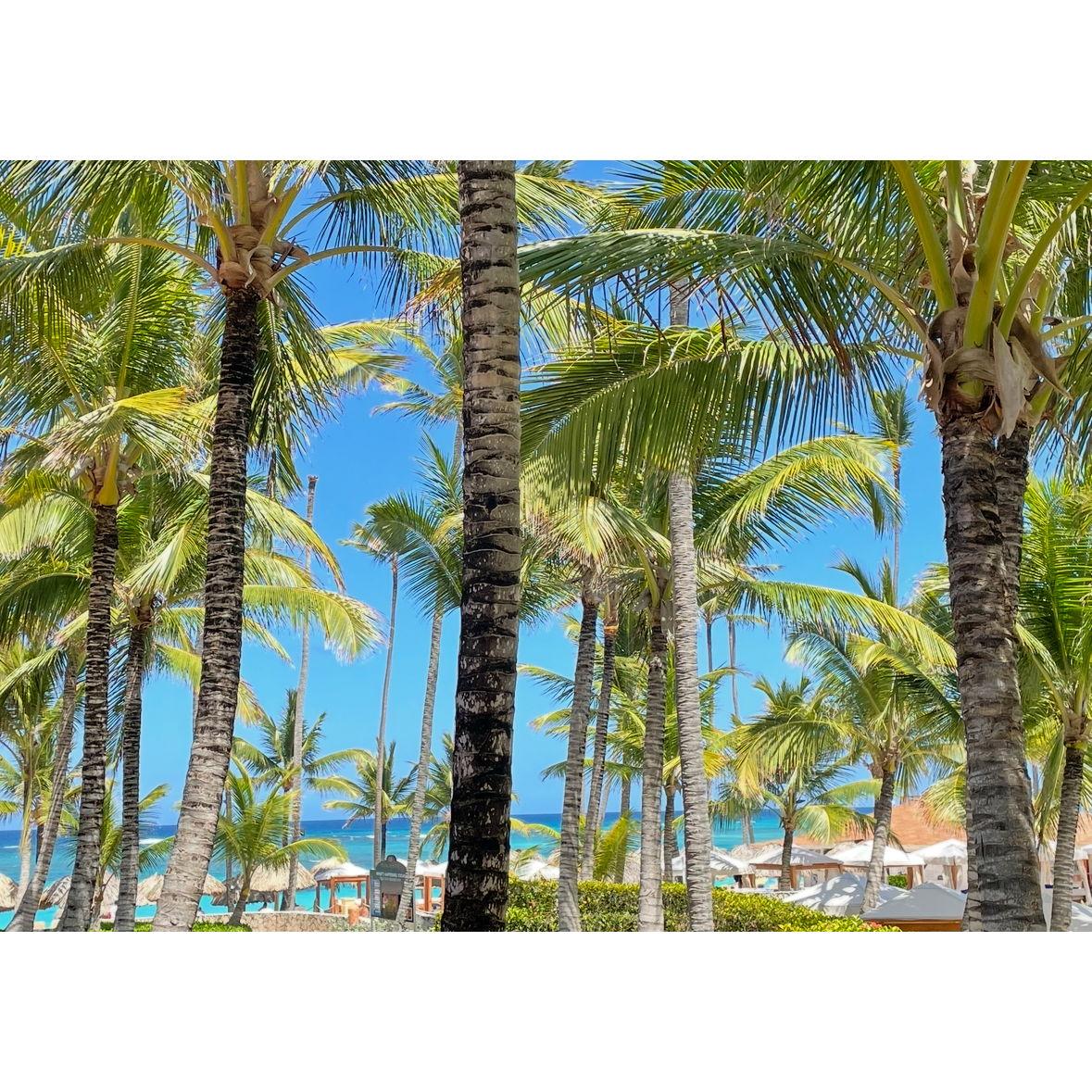Restaurant Beachfront
