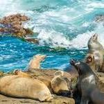 La Jolla Cove