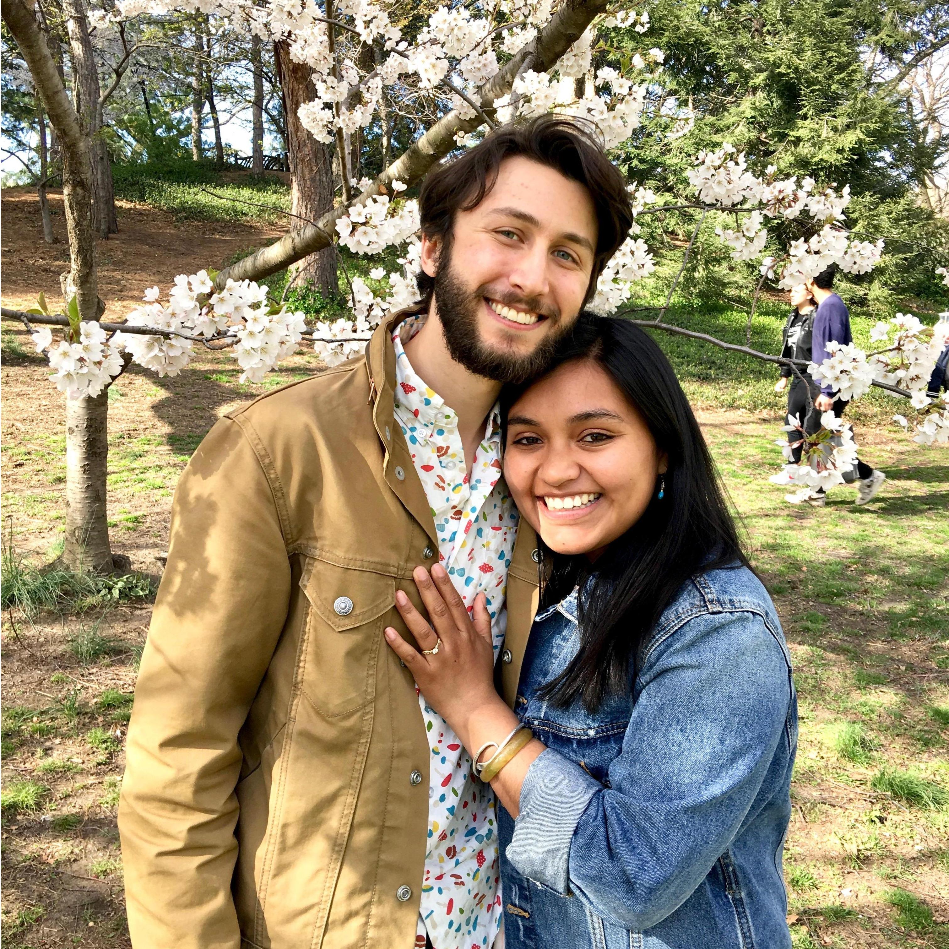 I Said "Yes"...and then "Now What?" 
Central Park, Spring 2018