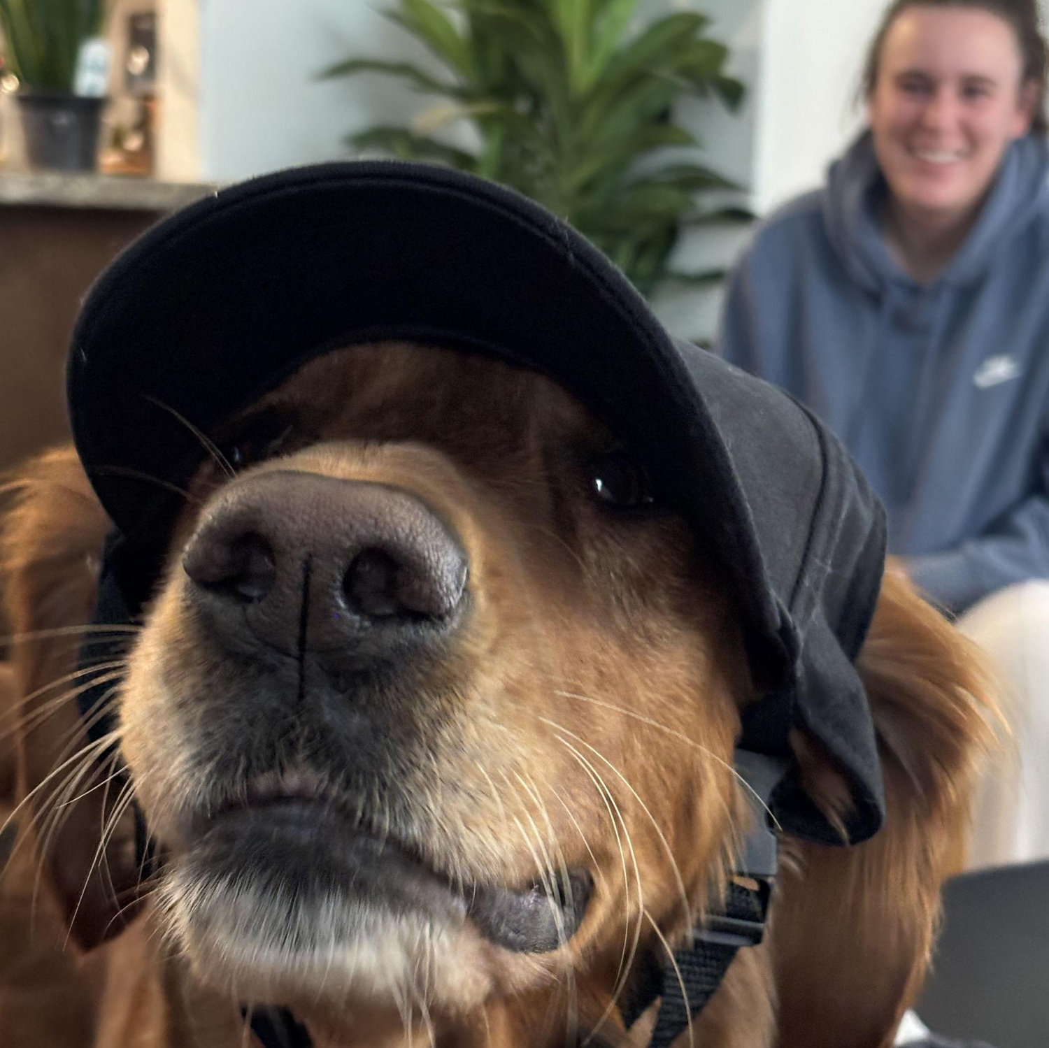 Chloe!