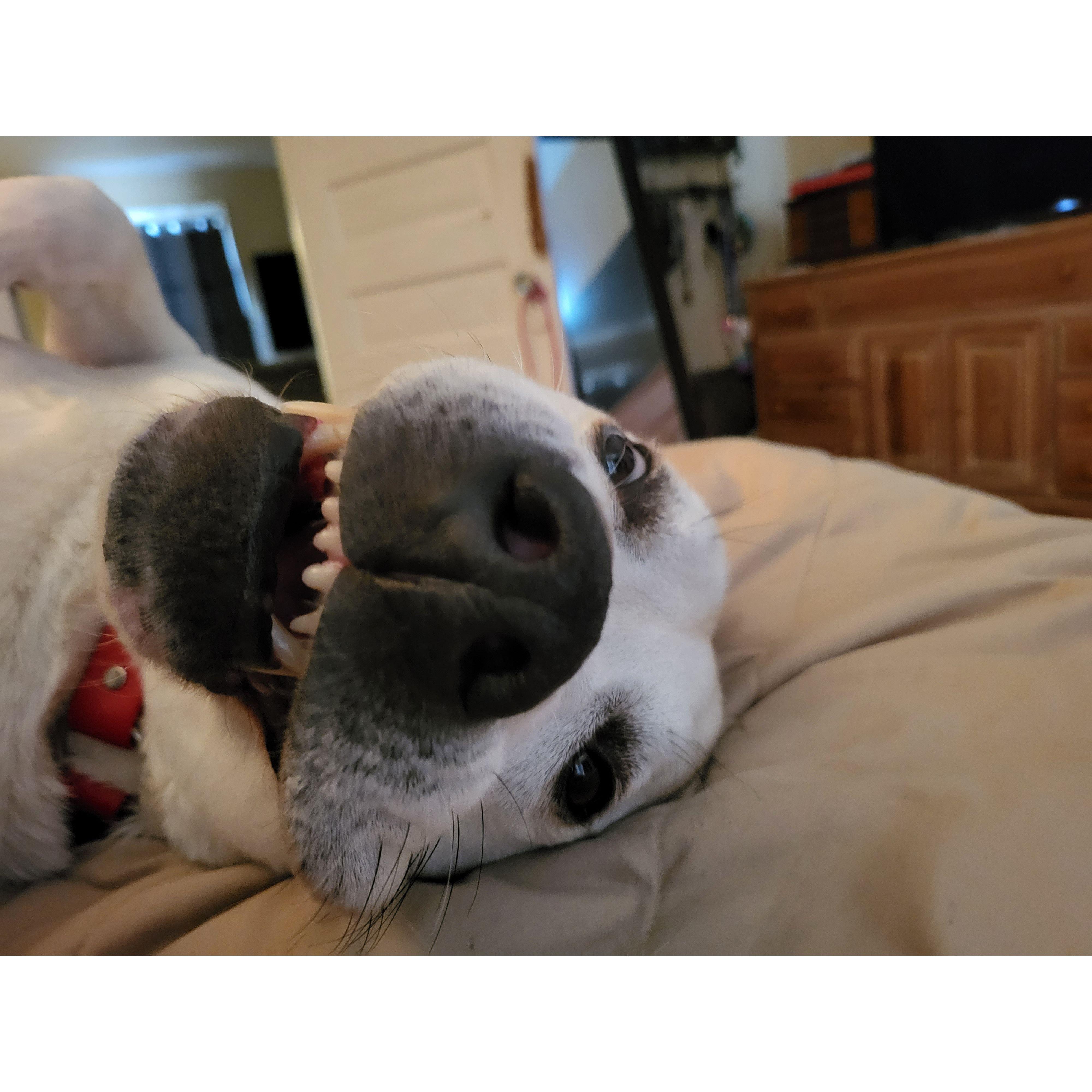 Just being a goof
