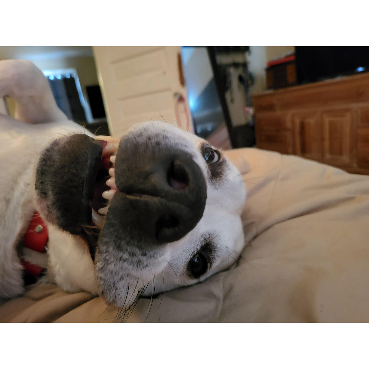 Just being a goof