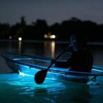Bioluminescent Bay Fajardo