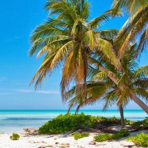 Grand Cayman Far Side Tour