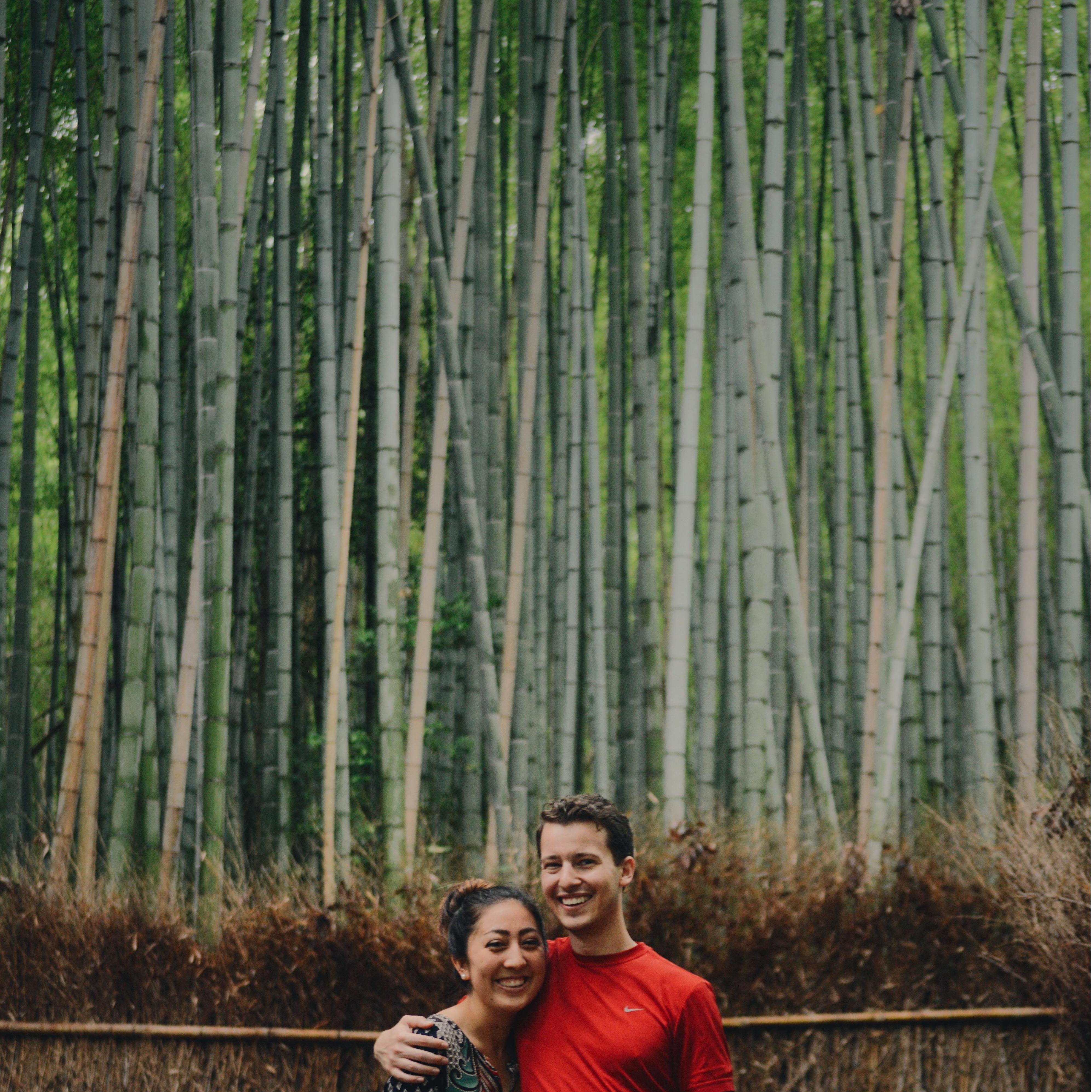 Arashiyama Bamboo Forest, June 2018