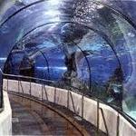 South Carolina Aquarium