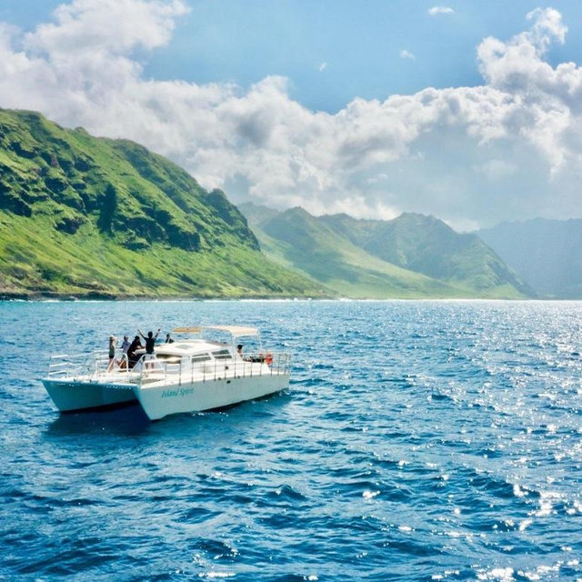 Swim with dolphins excursion in Oahu