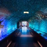 Montreal Museum of Archaeology and History