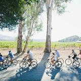 Napa Valley Bike Tours & Rentals