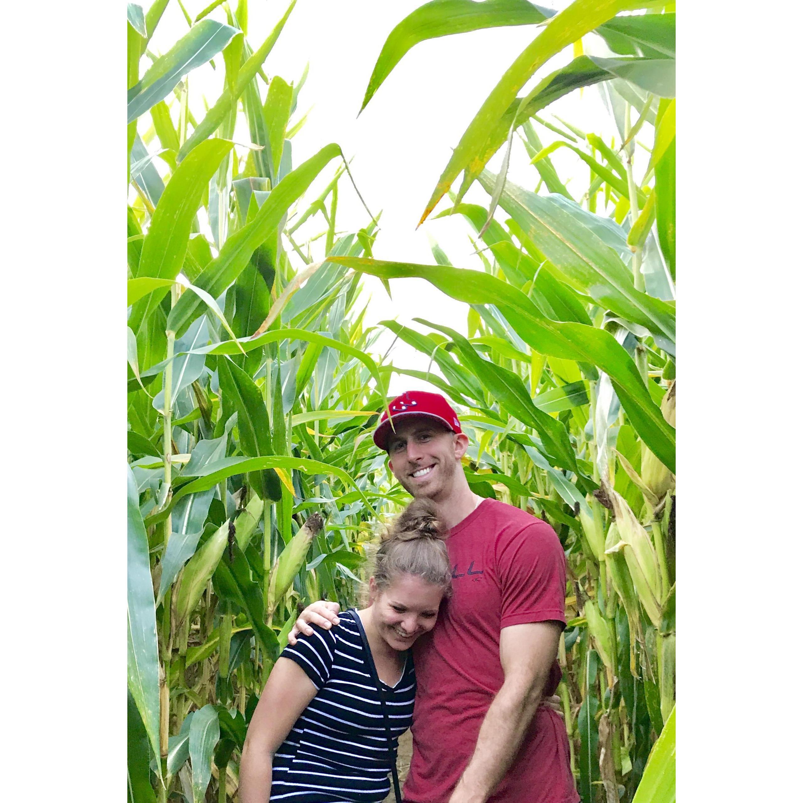 October 2017 - Corn Maze