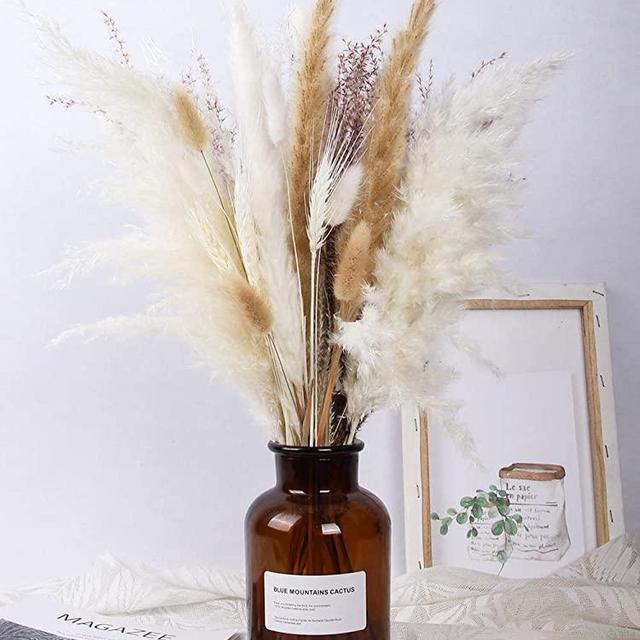 Pampas Grass-Natural Dried Pampas Grass Decor for Home Arrangements, Boho Bouquet,18 Inch 30pcs Dried Flower Bouquet with Clear Gift Box(White&Brown)
