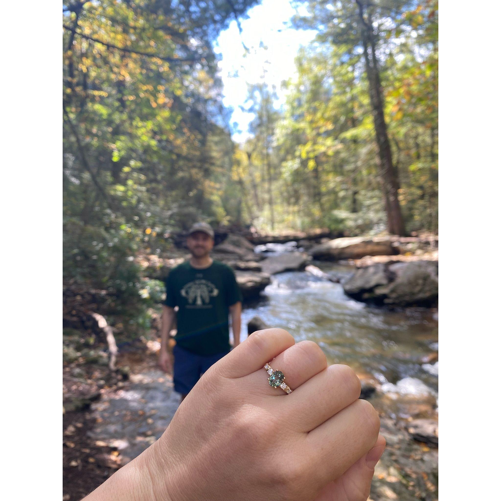 Photo of where Ben proposed at the Sleepy Creek Wildlife Management Area in West Virginia