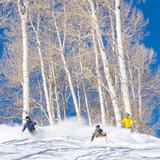 Ski Aspen/Snowmass