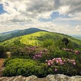 Roan Mountain