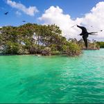 Explore the Sian Ka'an Biosphere Reserve