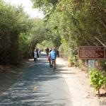 Bob Jones Trail