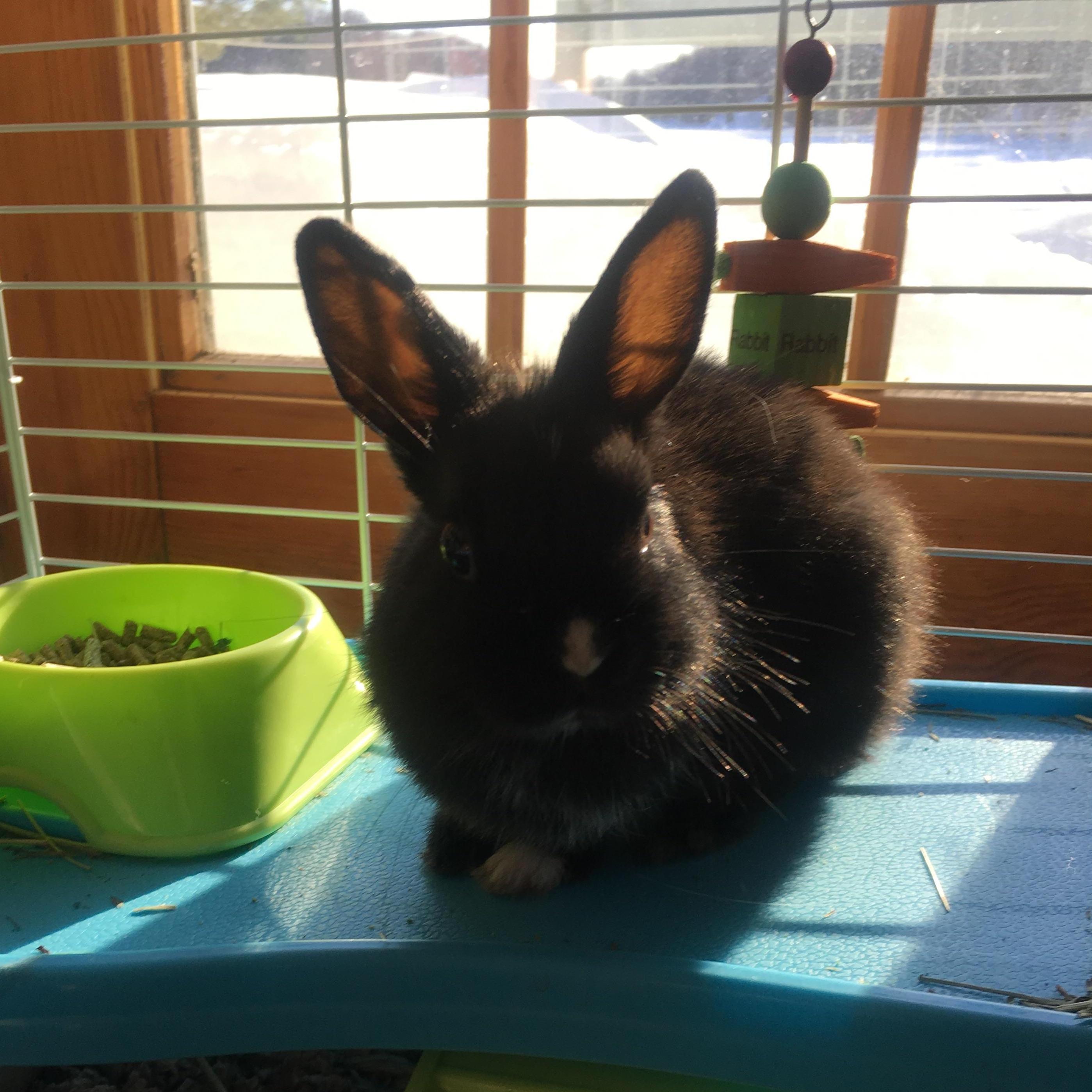 Baby Luna!
