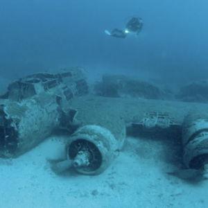 Scuba Diving in Corsica