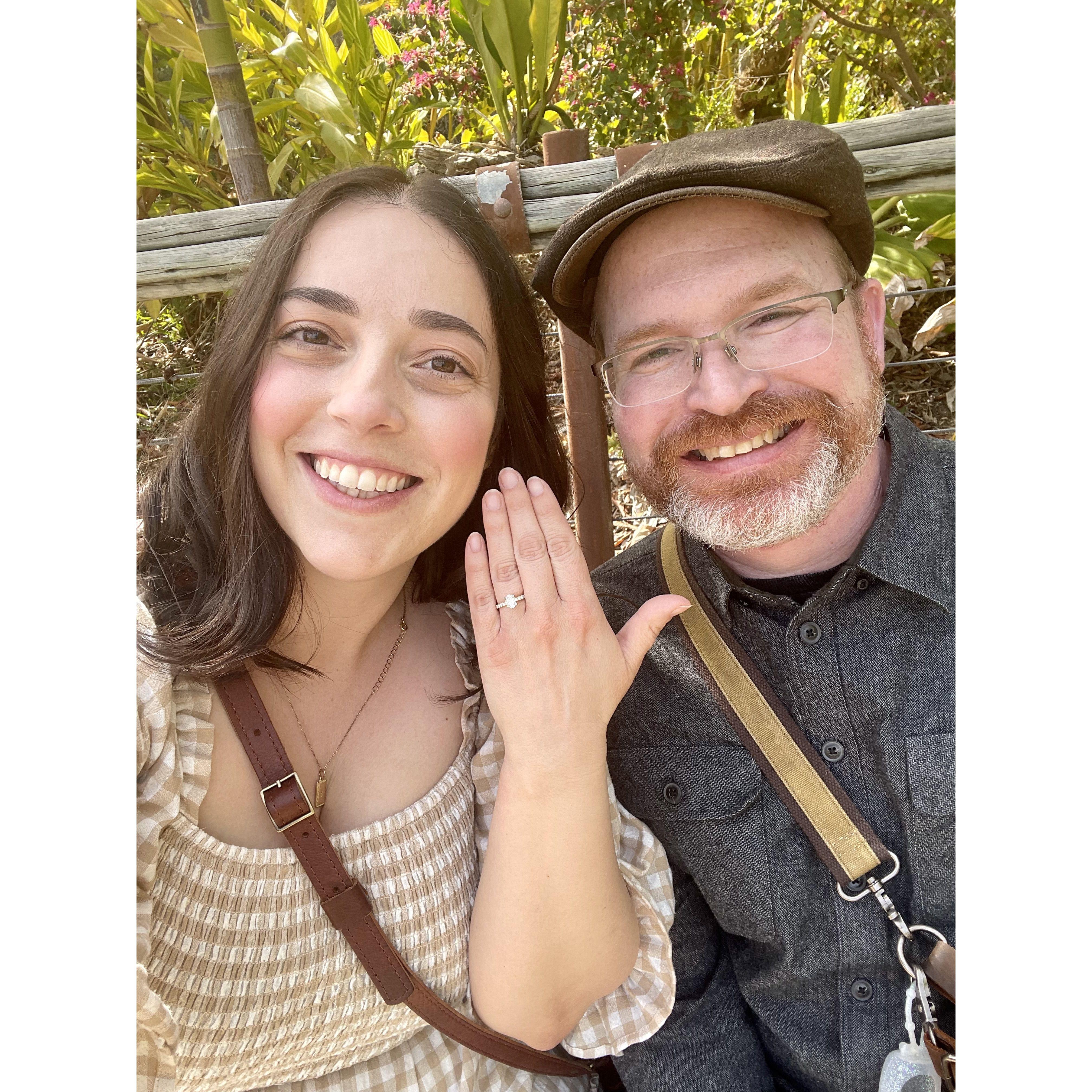 Right after he proposed at the San Diego Zoo Safari Park on Danielle's favorite trail, the Arbor Walk.