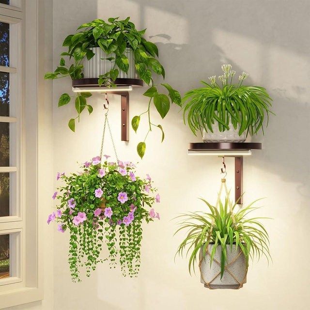 LASZOLA Plant Hangers Shelves Wall Mounted Indoor with Grow Lights, Metal Window Plant Holders, 2Pcs Modern Floating Flower Display Stand with 2 Hooks for Outdoor Kitchen Bathroom Decor, Bronze