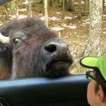Briarwood Ranch Safari Park