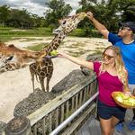 Zoo Miami