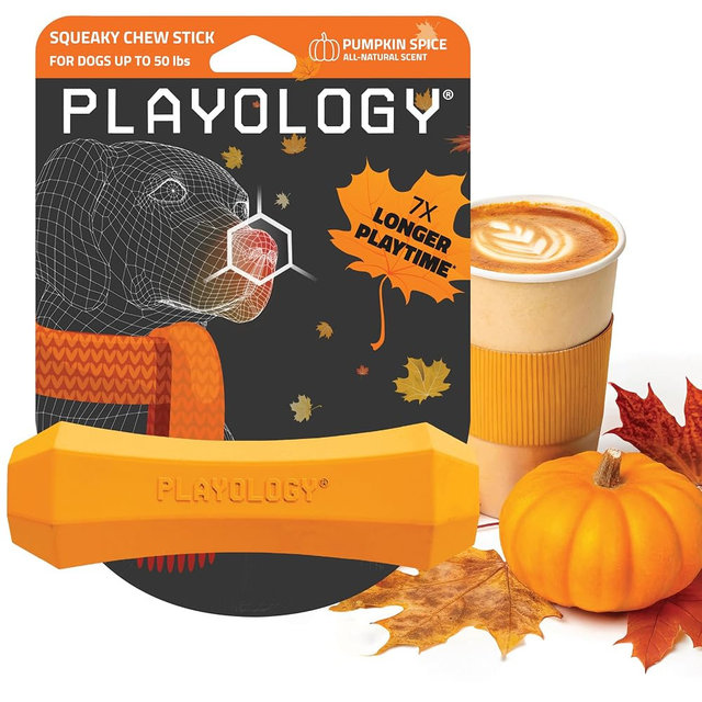 Playology Dog Toys | Squeaky Chew Stick for Dogs | Pumpkin Spice Scented Medium Fetch Toy | Squeaky Dog Chew Toy | Limited Edition Fall Scent