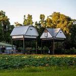 UF Bat Houses