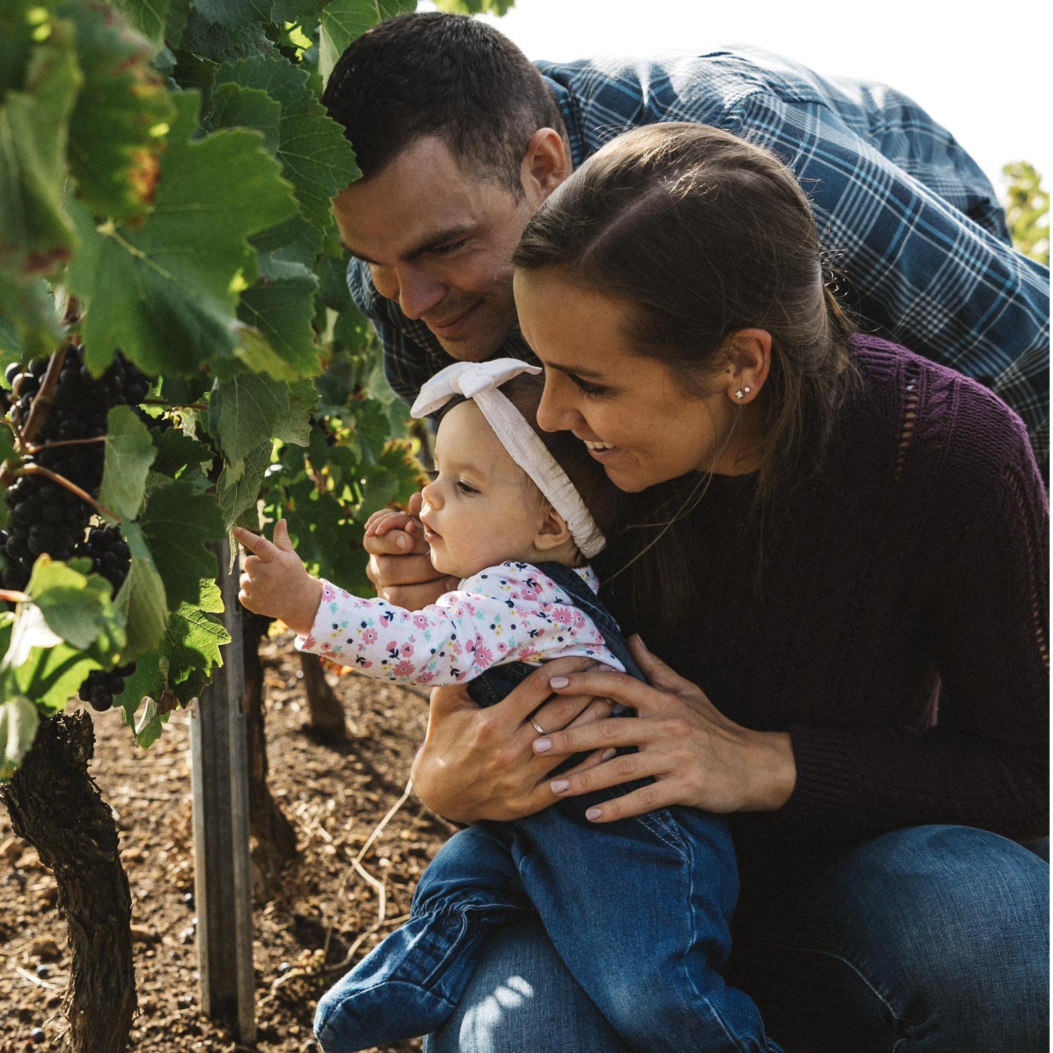 Family photos in the vineyard and our first home together.