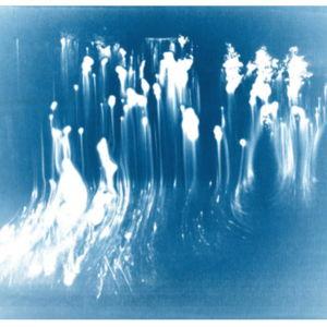 Cyanotypes Print | Ellen Barratt Studios