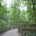 Saunders-Monticello Trail
