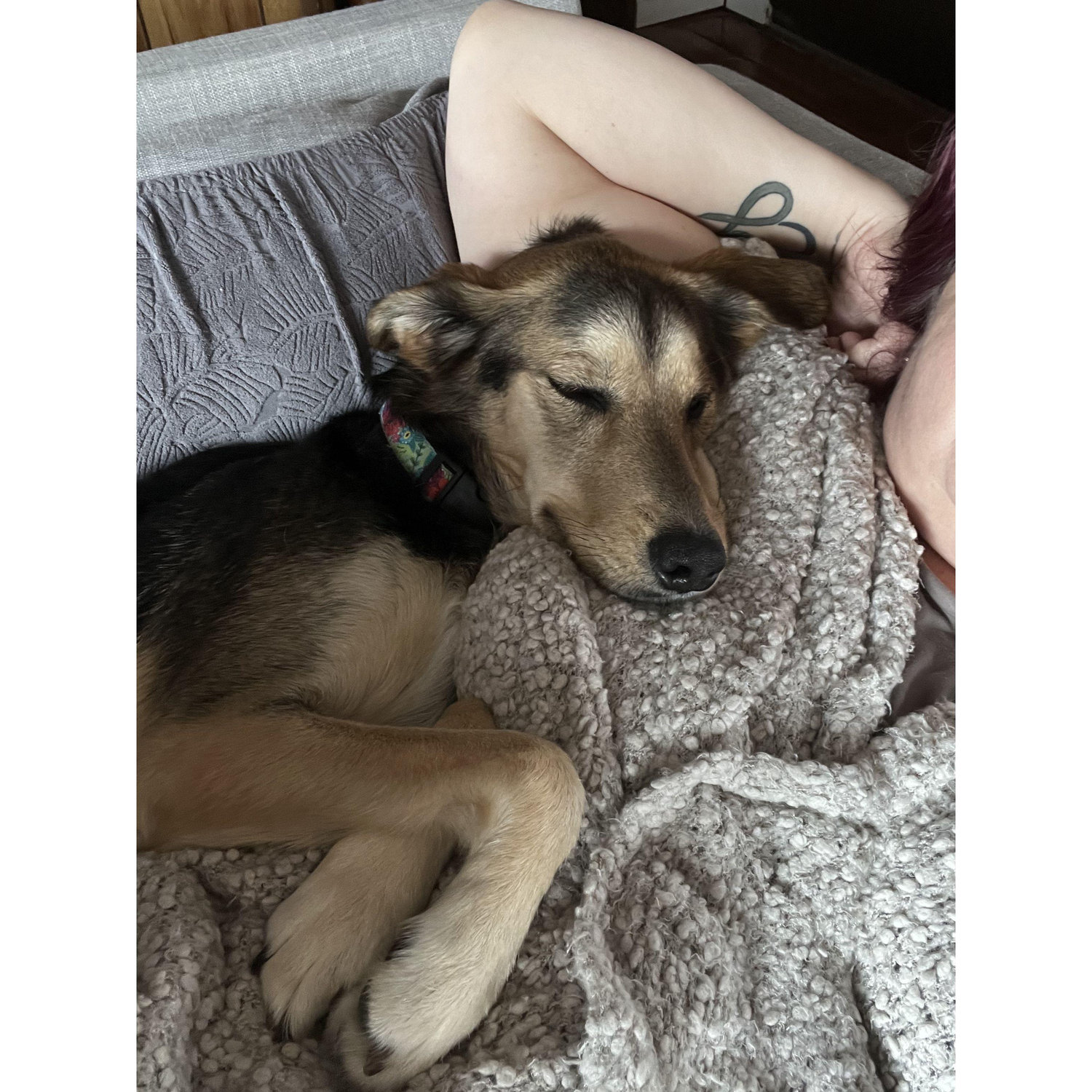 Always love puppy snuggle time