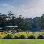 Green Olive at Red Hill