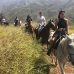 Horse Back Riding