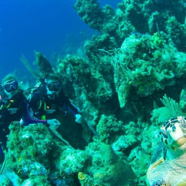 Scuba diving in the Bahamas. And yes...that is a real turtle "photo bombing" our picture!