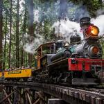 Roaring Camp Railroad