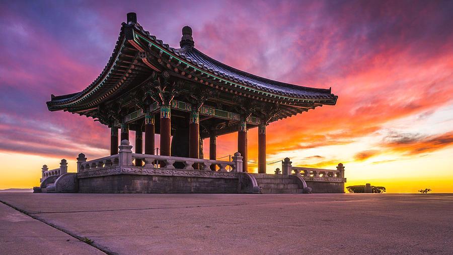 The Wedding Website of Robert Shannon and Amelia Wentworth