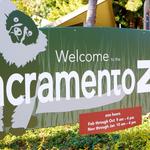 Sacramento Zoo