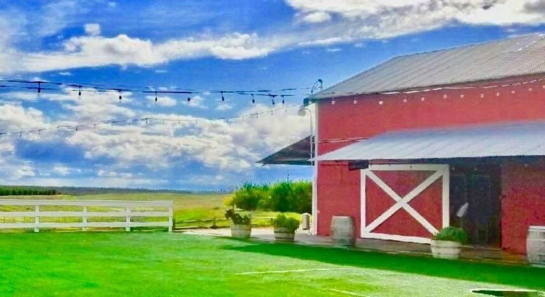 The Wedding Website of Julianne Nicoletti and Nick Lamphear