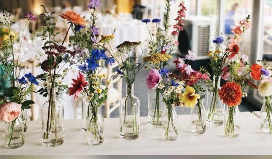 The Wedding Website of Chloe Templin and Adam Weikel