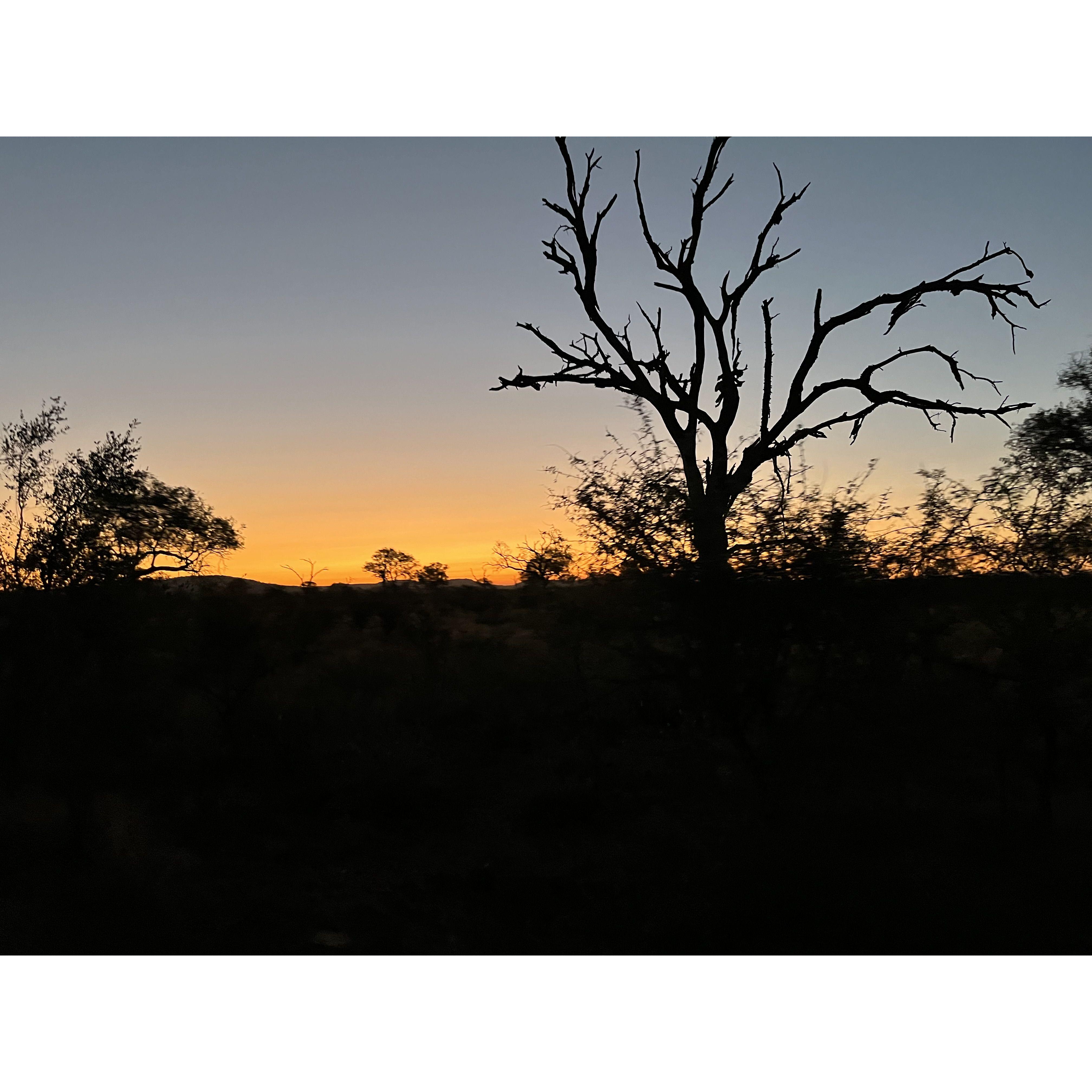 Sunrise in Kruger National Park, May 2024